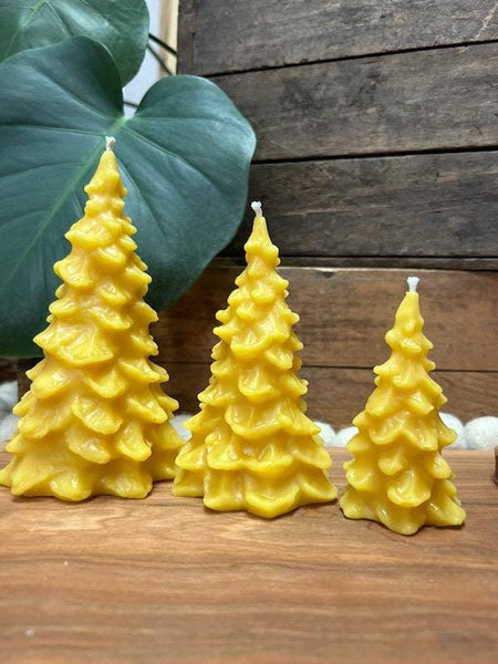 Beeswax Tree Candle: Large